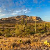 AZ Desert