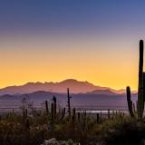 Ciscomani Secures Over $22 Million for AZ-06 Community Projects with House Final Appropriations Package