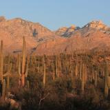 Sabino Canyon