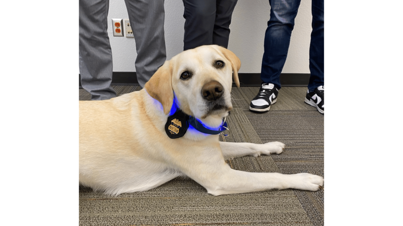 ATF K-9 Release 2