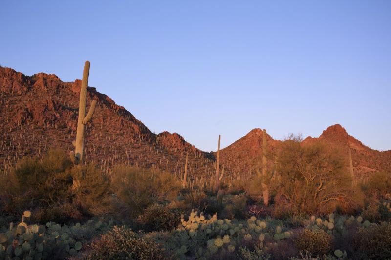 Tuscon Arizona