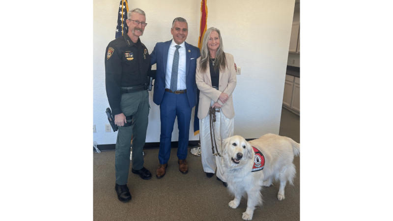 Service Dog Month Release 2